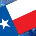 Poolmats Texas Flag Pool Emblem 59 inches 67B00-00073_Texas 67B00-00119